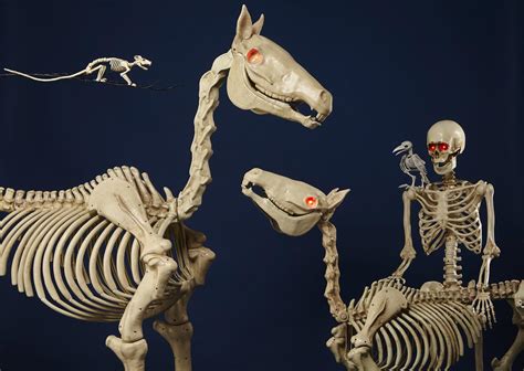 No Bones About It: Animal Skeletons are Hot for Halloween - WSJ