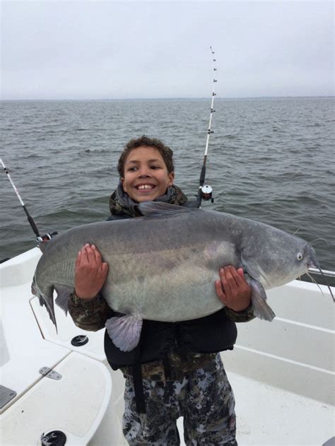 10-year-old angler catches potential world-record catfish | Fox News