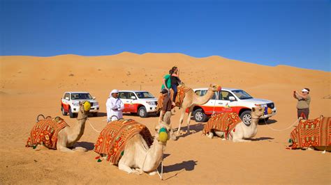 desert safari in dubai: Best Desert Safari Dubai Offers