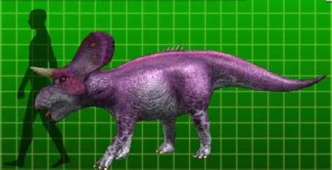 Zuniceratops Pictures & Facts - The Dinosaur Database