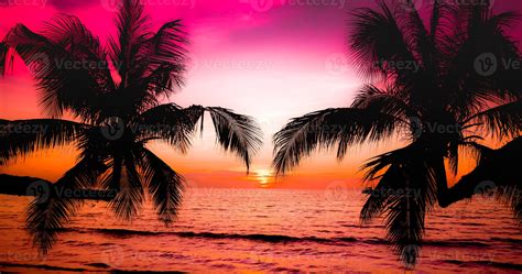 Beautiful sunset on the tropical sea beach.Silhouette of palm trees on ...