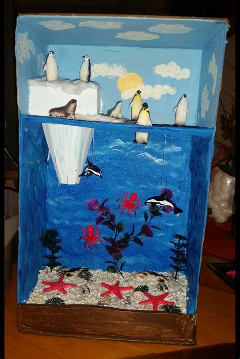 Ocean Habitat For 2nd Grade