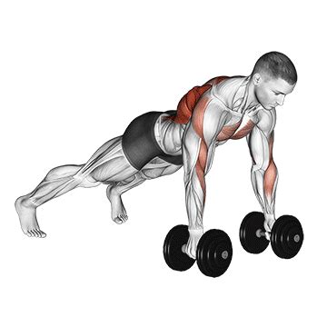 Dumbbell Renegade Row - Guide, Benefits, and Form