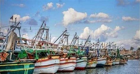 Top 10 attractions in Damietta | Things to do in Damietta - Egypt ...