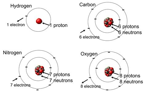 Basic Cell Biology