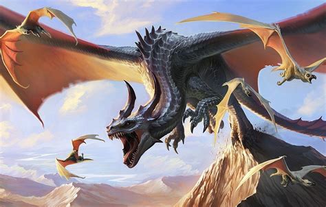 Wyvern Wallpapers - Top Free Wyvern Backgrounds - WallpaperAccess