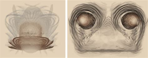 Volume illustrations of flow around the X38 spacecraft. (a) is an ...