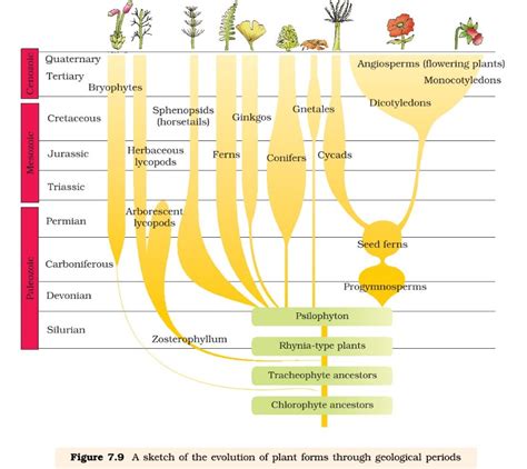 Origin and Evolution of Life on Earth - PMF IAS