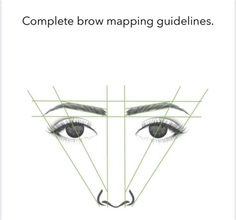 Step By Step Brow Mapping Diagram