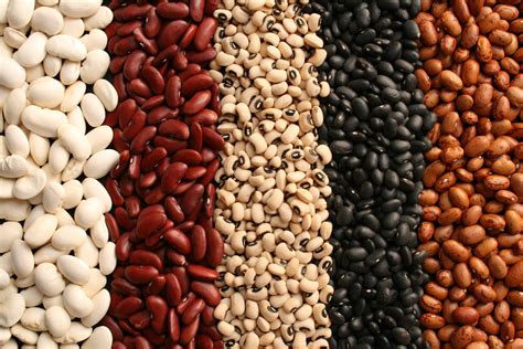 Types of Beans to Meet Your Protein Needs | Best Health Canada