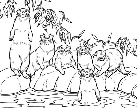 Free Sea Otter Coloring Page, Download Free Sea Otter Coloring Page png ...