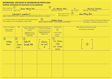 Yellow Fever Vaccine Certificate