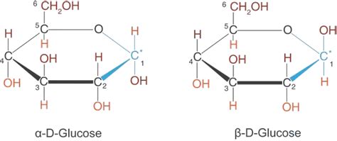 What is alpha glucose? - Quora