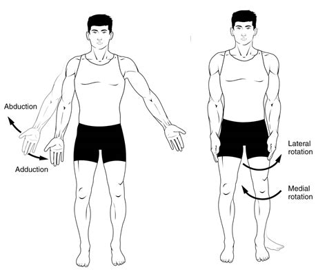 Anatomical Terms of Movement - Flexion - Rotation - TeachMeAnatomy