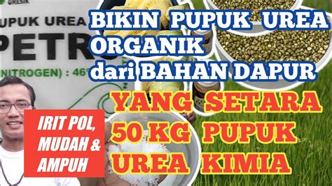 Bikin Pupuk Urea Organik Ini Setara 50 Kg Pupuk Urea Kimia - YouTube