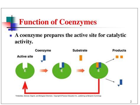 PPT - Chapter 21 Enzymes and Vitamins PowerPoint Presentation, free ...