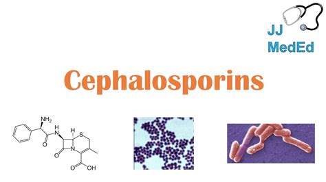 Cephalosporin Mechanism Of Action - cloudshareinfo