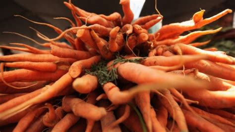 Are Carrots Really That Good For Your Eyes? | Mental Floss