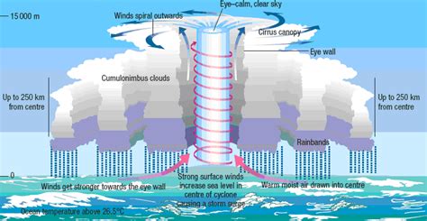 Higgins Storm Chasing | Tropical Cyclones What are they & how do they form?