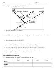 Cladistics Worksheet.docx - Name Period Cladistics Worksheet Part I ...