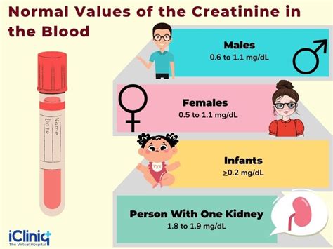 High Creatinine Levels Symptoms Diagnosis Treatment, 58% OFF