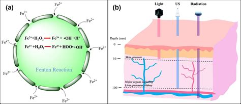 a Schematic diagram of the Fenton reaction equation. b Diagram of ...
