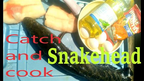 Catch and cook. Maryland snakehead fish fry. Delicious!! Do $1 buzz ...