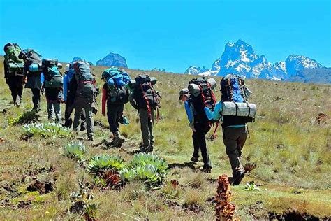 Mount Kenya Trekking Tours, Routes, Prices | Climbing Mount Kenya