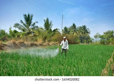 34 Indian Peasantry Stock Photos, Images & Photography | Shutterstock