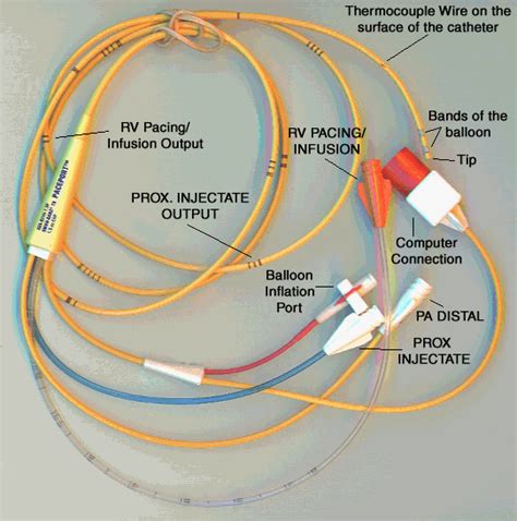 The Critical Care Nurse: Why use a Swan-Ganz Catheter?