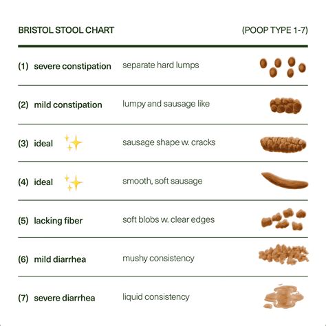 Bristol Stool Chart Type 6 Toddler | Kids Matttroy