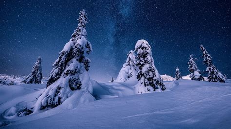 Winter Night Wallpaper 1920x1080