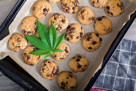 CBD Cookies Recipe - Venu Son Beach