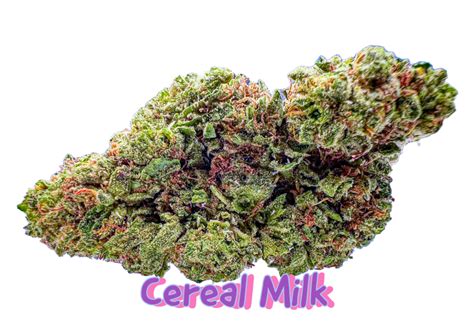 Cereal Milk - Cali Connect