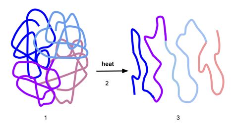 File:Diagram -2 denaturation.svg - Wikimedia Commons