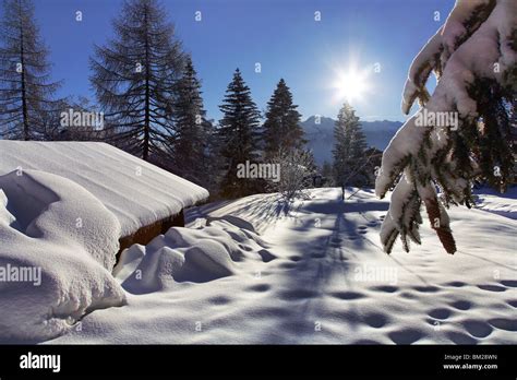 winter scenery in Switzerland Stock Photo - Alamy