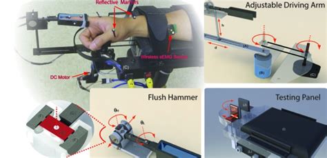 Biomechanics of the Human Hands | ReNeu Robotics Lab