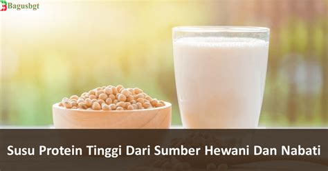 Susu Protein Tinggi Dari Sumber Hewani Dan Nabati – Bagus Banget