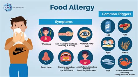 Food Allergy: Causes, Symptoms, Diagnosis, and Treatment | Lab Testing API