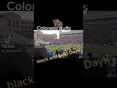 Colorado Buffaloes Black and Gold Day! let's go Buffs we coming 🦬🦬🔥💥💪🏽 ...