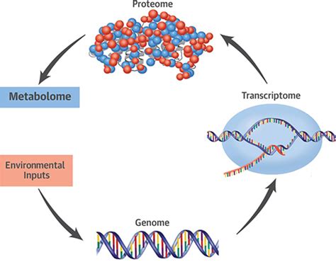 Metabolomics Assays for Anatomic Pathology, Clinical Labs | Dark Daily