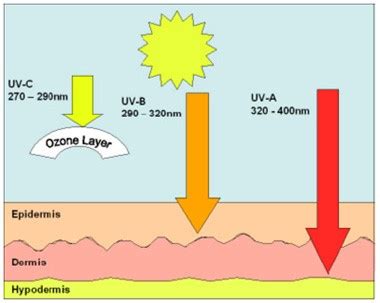 Sunlight, UV radiation, and ozone | Dr. Ken Dembny