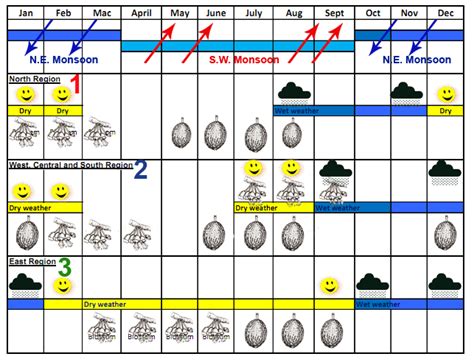 Durian Info: Durian Seasons In Durian Production Areas