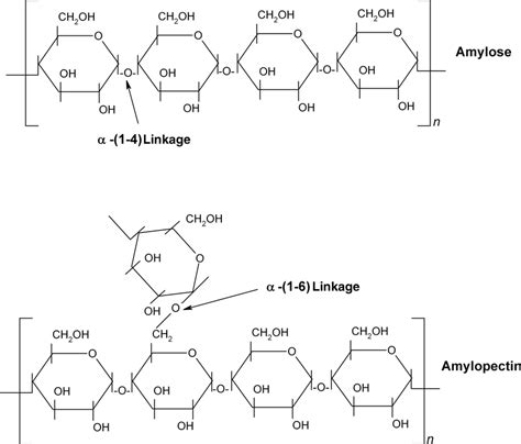 1 Chemical structure of starch with amylose and amylopectin units ...