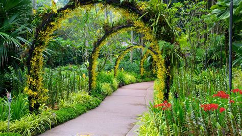 Top 10 Hotels Closest to Singapore Botanic Gardens in Singapore (from ...