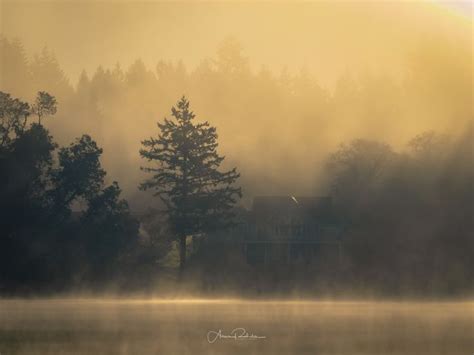 Foggy morning Foggy morning on Long Lake #Lake #Foggy #Sunrise #Sunray ...