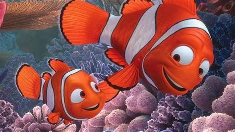 gambar ikan nemo - Ikan menggambar kolase mewarnai warni hias (480p)