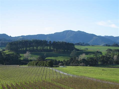 New Zealand's Matakana searches for buyer - Decanter