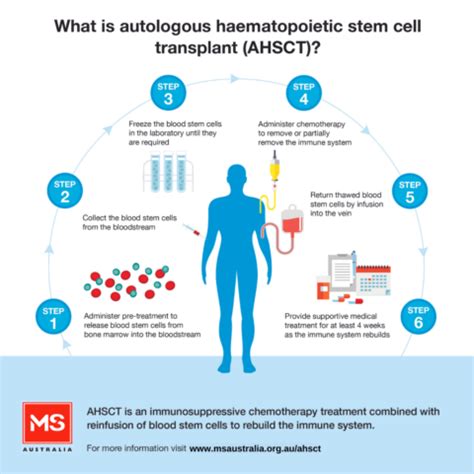 Stem Cell Therapy