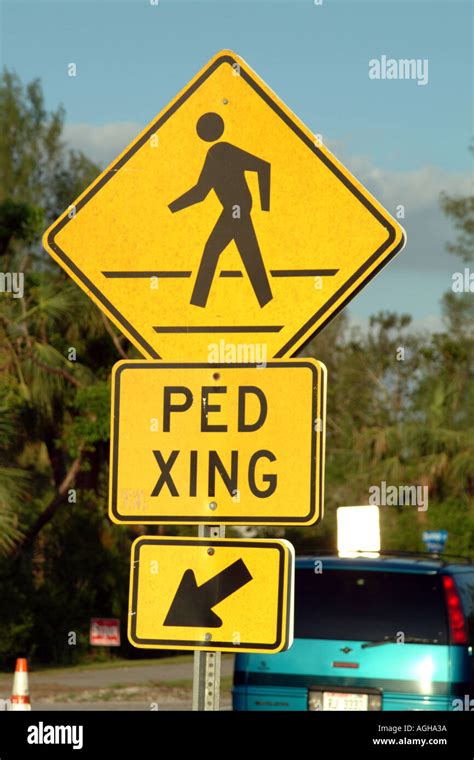 PedXing Ped Xing sign on a Florida street fl USA Stock Photo: 2628153 ...